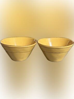 One Set of 2 Citrus Grove Ceramic Bowls